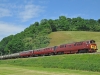 D1010