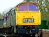 D1013