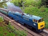 D1013