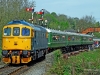 33202
