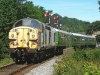 37037