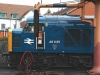 46035