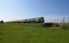 50035