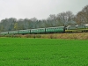 D9009