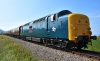 55019