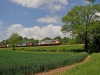 56098