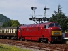 D821