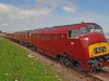 D821