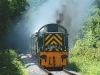 D9525