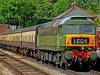 D1661