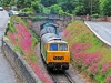 D7076