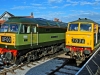 D1661+D7076