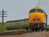 D832