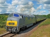 D832