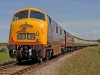 D832