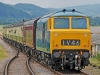 D7017