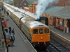 D6566