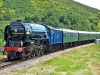 60163