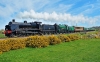 31806+925