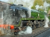 34046