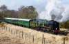34046(52)