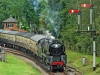 35005