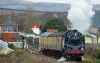 80043