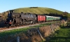 80104