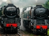 35005+34016