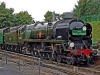 35005