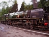35005