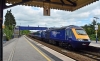 43003
