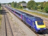 43003