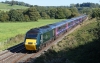 43004