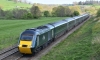43005