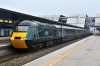 43005