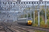43005