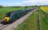 43005