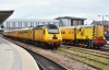 43013+08417