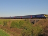 43016
