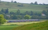 43017