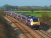 43019