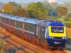 43021