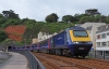 43023