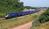43025