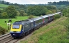 43027