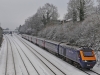 43028