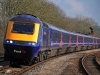 43031