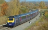 43037