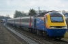 43049